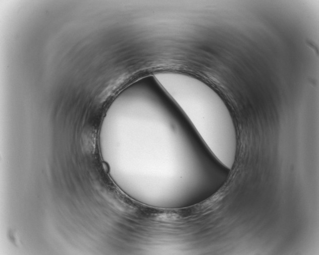 X0000100220168200805300755
