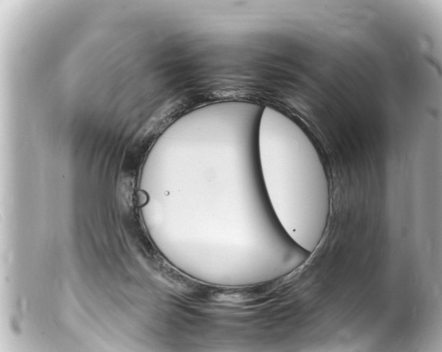 X0000100220171200805300755