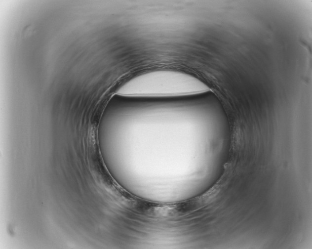 X0000100220172200805300755