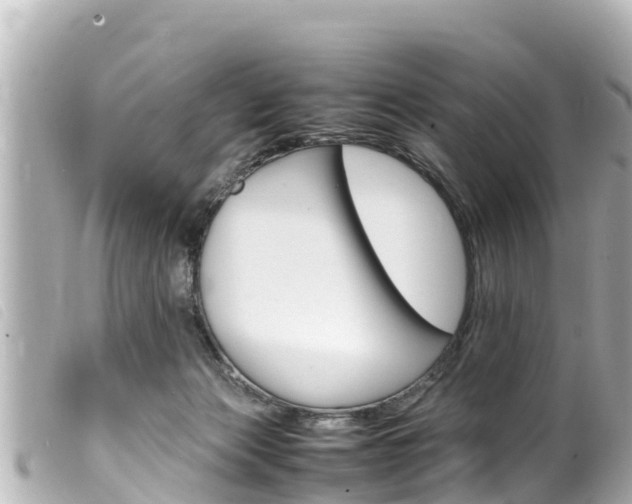 X0000100220173200805300755