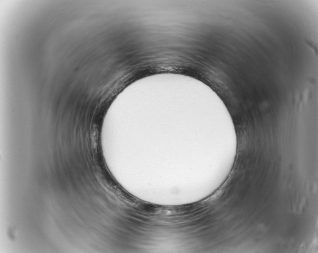 X0000100220174200805300755
