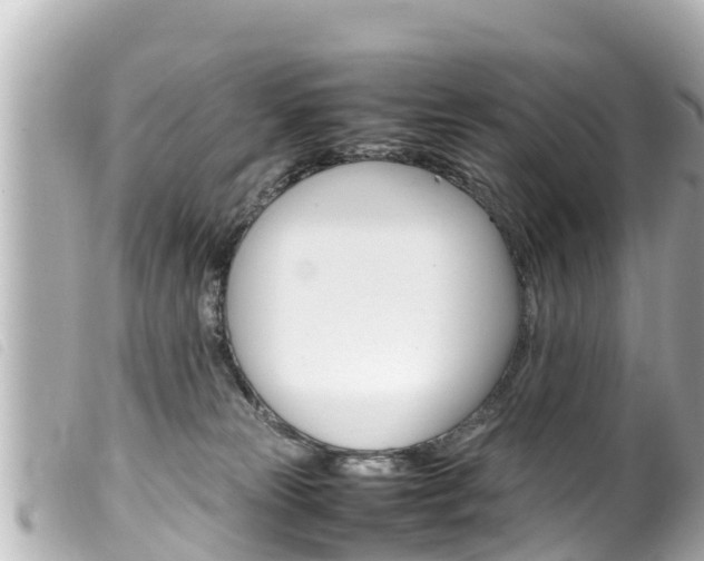 X0000100220181200805300755