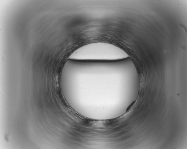 X0000100220182200805300755