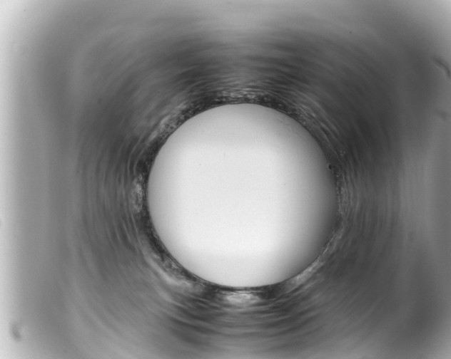 X0000100220183200805300755
