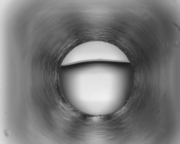 X0000100220184200805300755