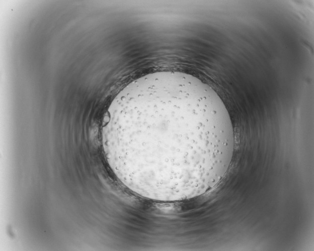 X0000100220187200805300755