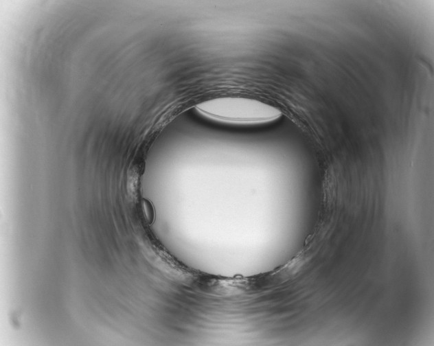 X0000100220188200805300755