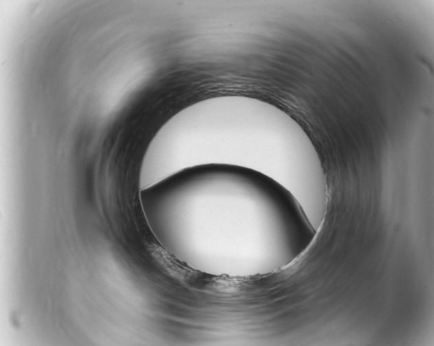 X0000100220190200805300755