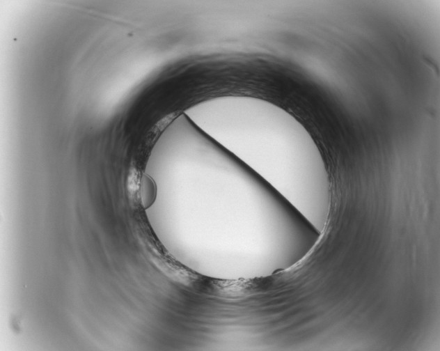X0000100220191200805300755