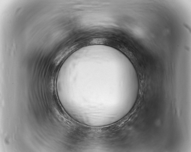 X0000100220194200805300755