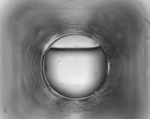 X0000100220195200805300755