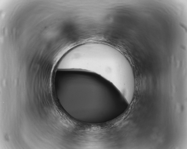 X0000100220196200805300755