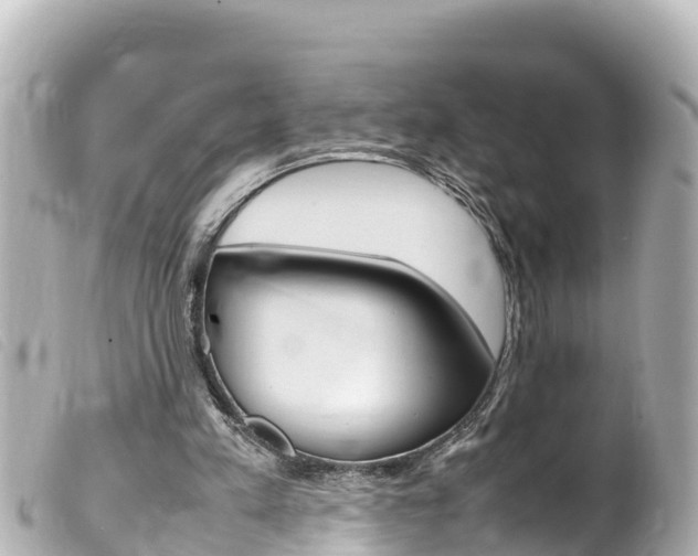 X0000100220197200805300755