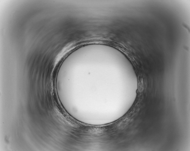 X0000100220198200805300755