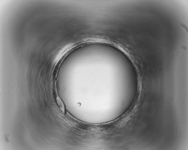 X0000100220199200805300755
