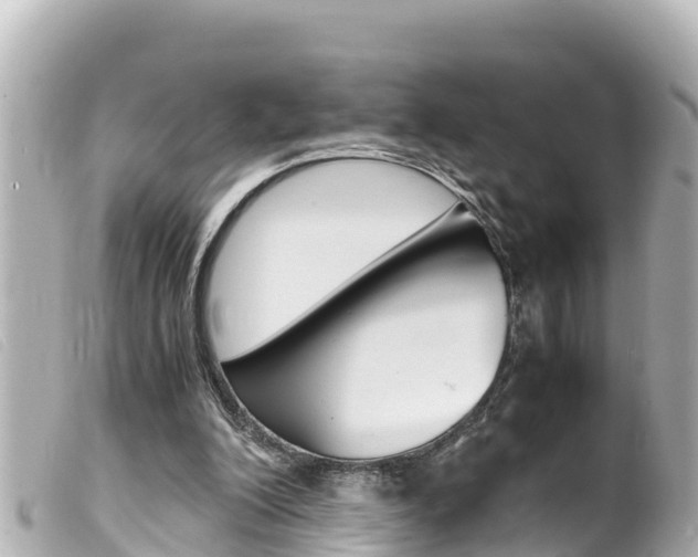 X0000100220200200805300755