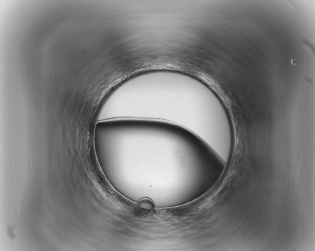 X0000100220201200805300755