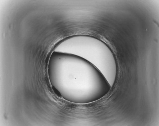 X0000100220203200805300755