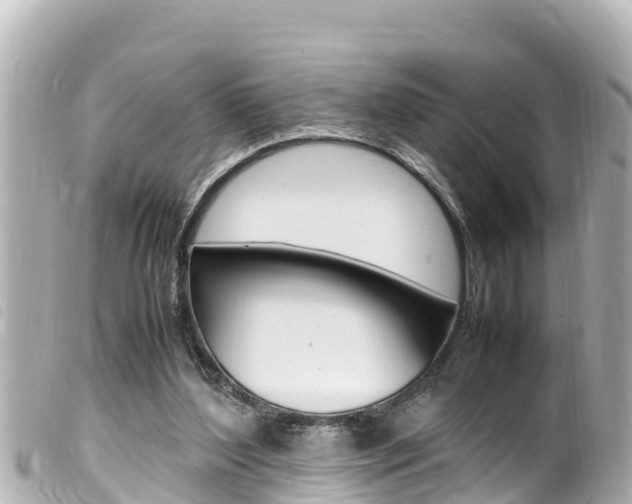 X0000100220204200805300755