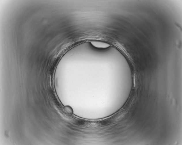 X0000100220205200805300755
