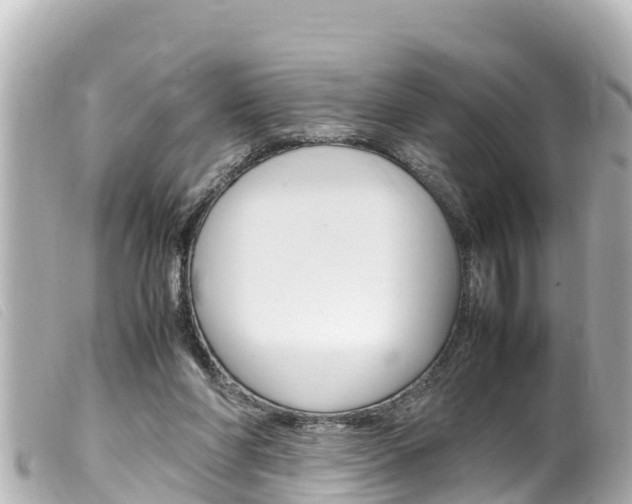 X0000100220206200805300755