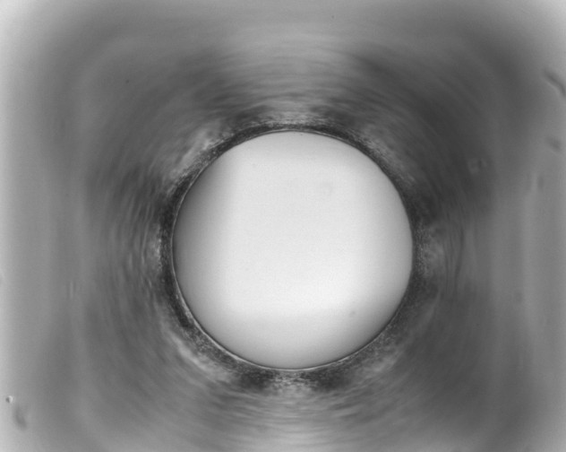 X0000100220207200805300755