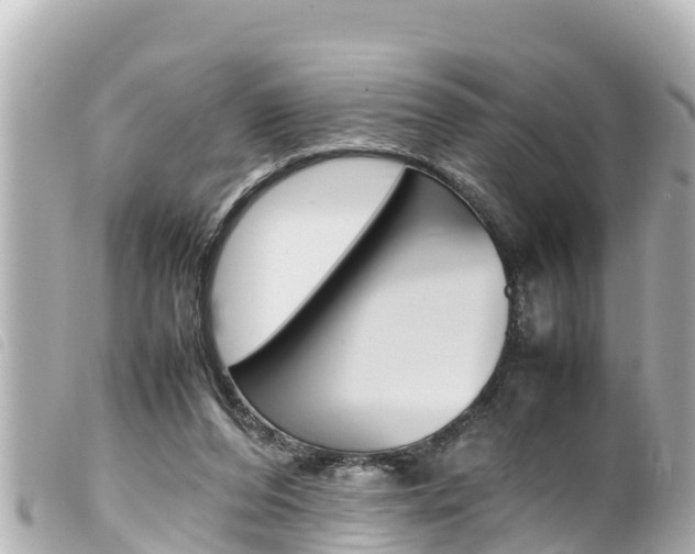X0000100220208200805300755