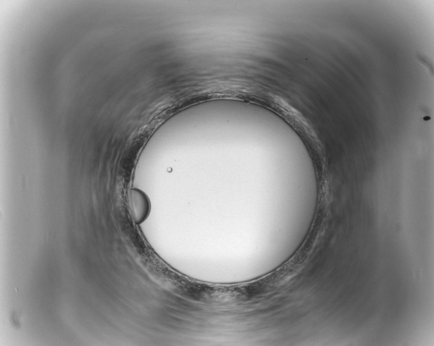 X0000100220209200805300755