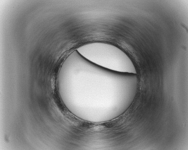 X0000100220210200805300755