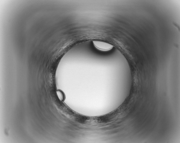 X0000100220211200805300754