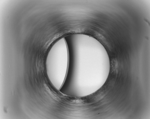 X0000100220212200805300754