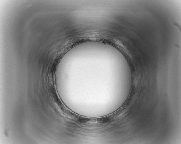 X0000100220213200805300754