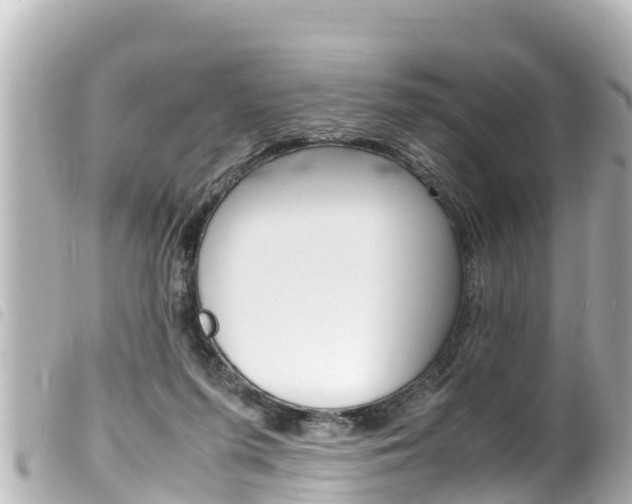 X0000100220215200805300754