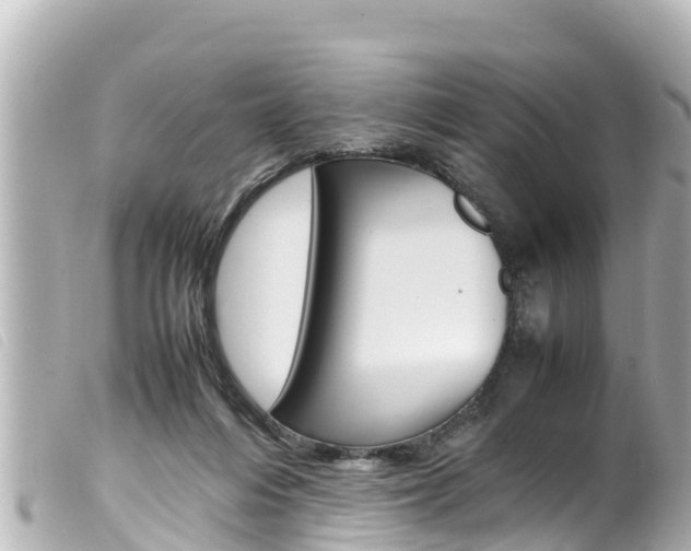 X0000100220216200805300754