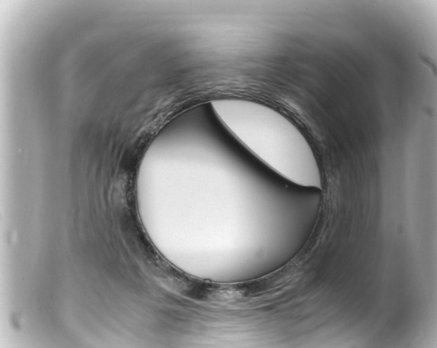 X0000100220217200805300754