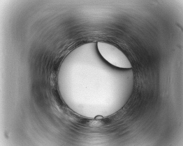 X0000100220218200805300754