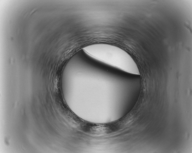 X0000100220219200805300754