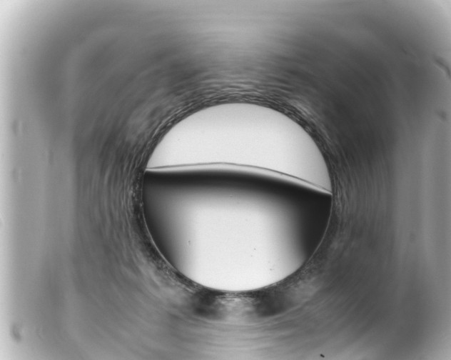 X0000100220221200805300754