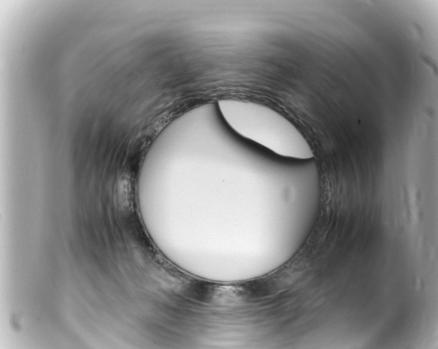 X0000100220222200805300754