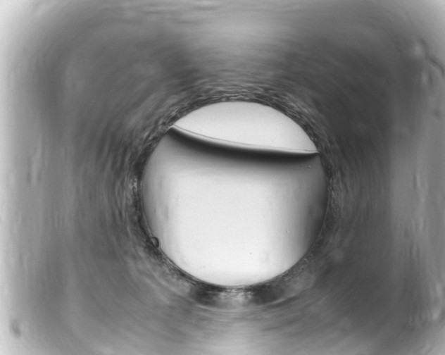 X0000100220225200805300754
