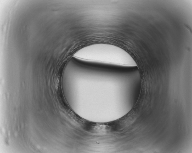X0000100220227200805300754