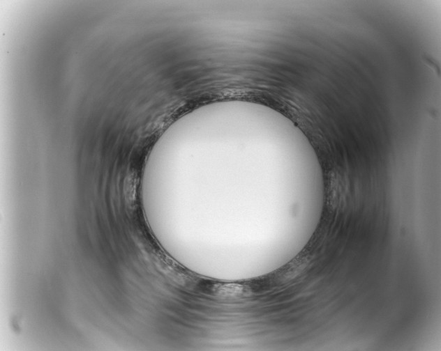 X0000100220230200805300754
