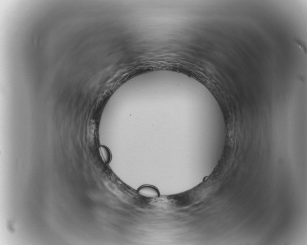 X0000100220231200805300754