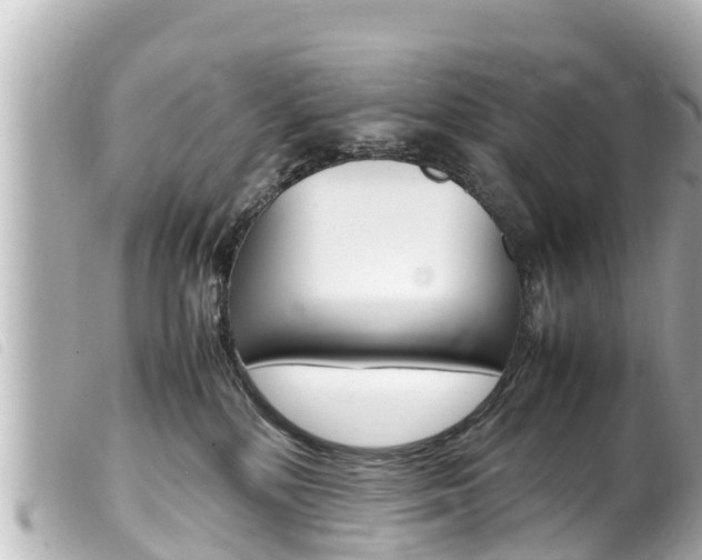 X0000100220232200805300754