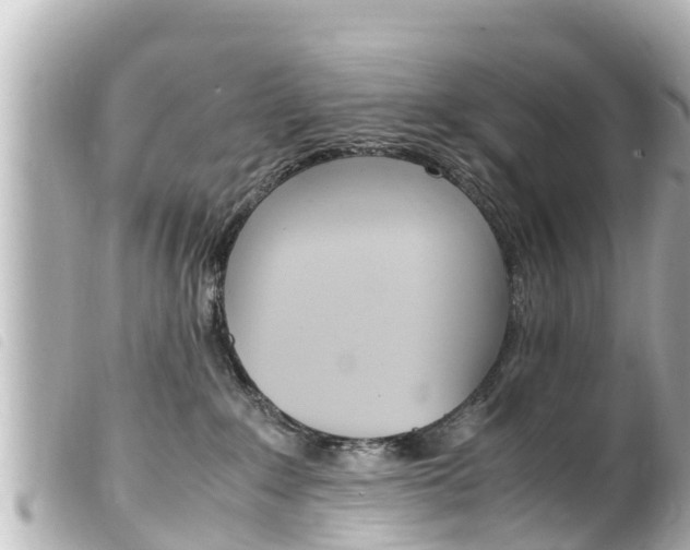 X0000100220235200805300754