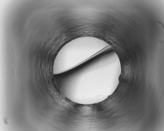 X0000100220236200805300754
