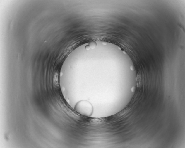 X0000100220238200805300754