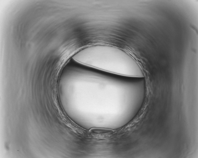 X0000100220241200805300753