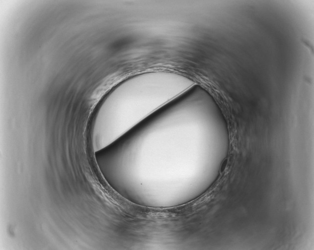 X0000100220242200805300753