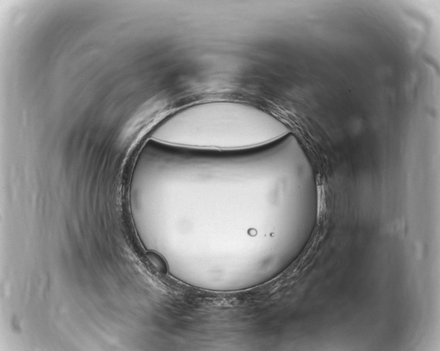 X0000100220243200805300753